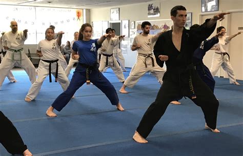 what is the best martial art to learn? the impact of cultural context on martial arts selection