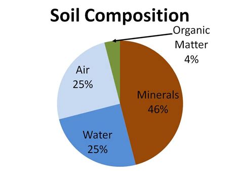 which soil composition would be the best choice for lining a landfill? In this context, let's also ponder how different types of liners affect the long-term stability and environmental impact of landfills.